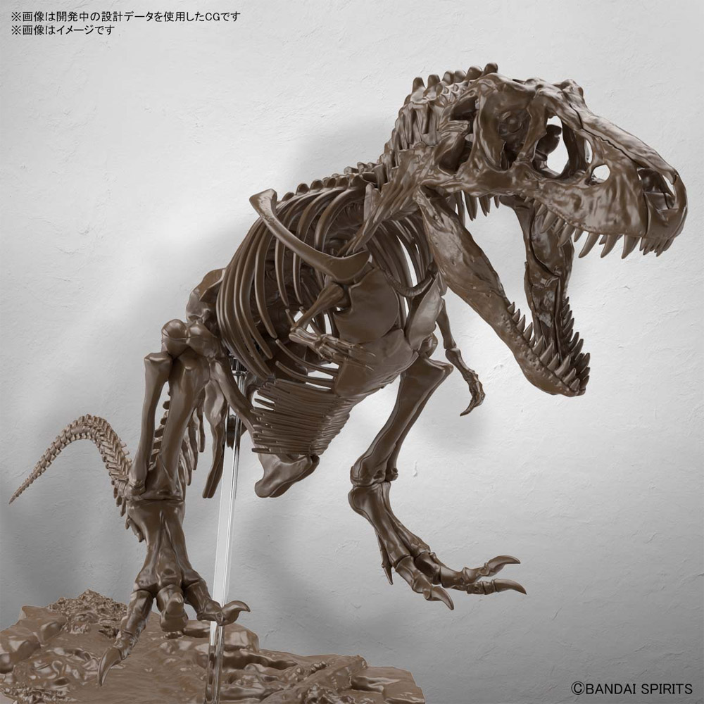 t rex skeleton kit