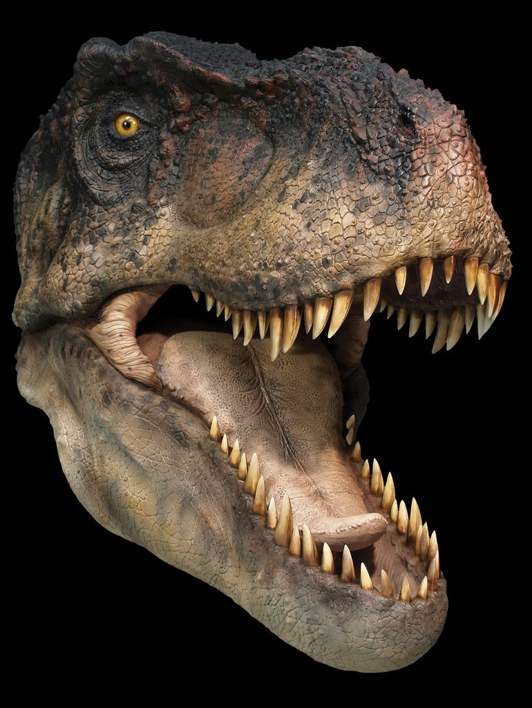 TREX (open jaw) Lifesize Collectible Statue TREX (open jaw) Life