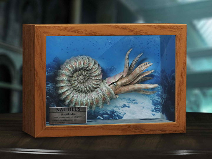 Nautilus Wonders of the Wild Series Miniature Frame w/ 1:1 Scale Replica (Normal Ver.) - Click Image to Close